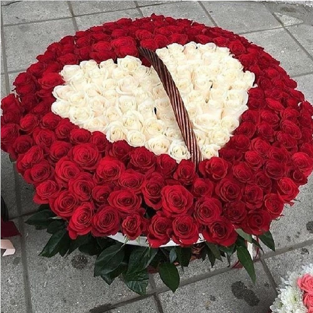 301 роза купить цветы с доставкой г новотроицк